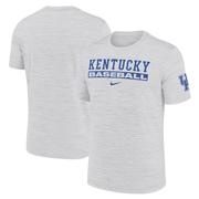 Kentucky Nike Dri-Fit Velocity Baseball Tee